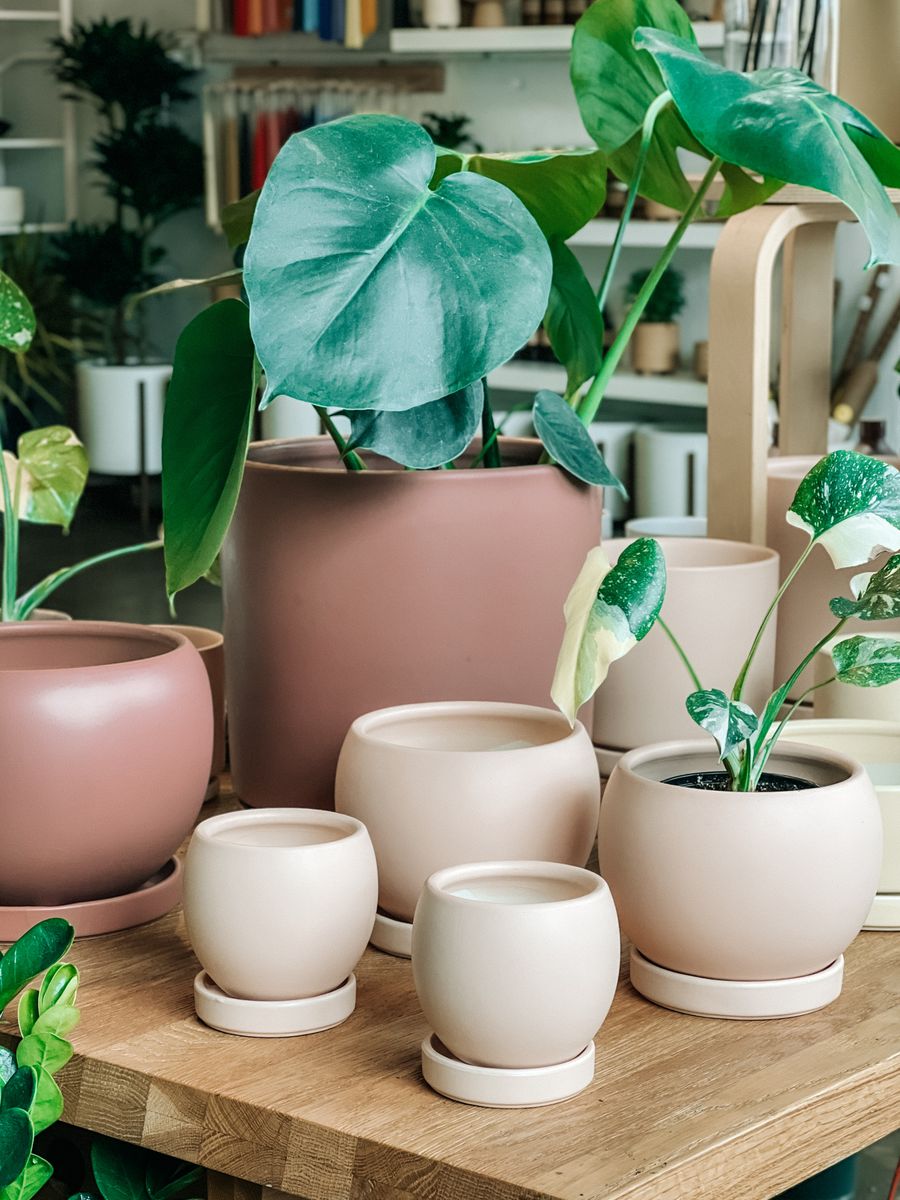 Chậu gốm men mặt cười